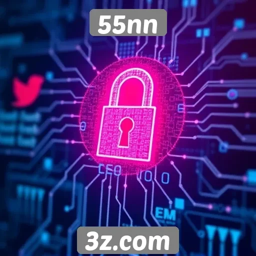 55nn: uma visão sobre a segurança dos dados